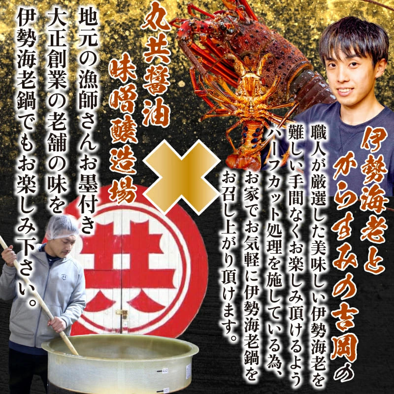 【贅沢冬鍋】伊勢海老鍋セット 700g~3.5kg
