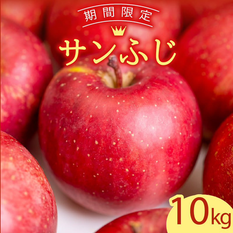 【12/24までの注文で年内配送】福岡県産 川崎町観光りんご園「サンふじ」良品 約3kg/5kg/10kg