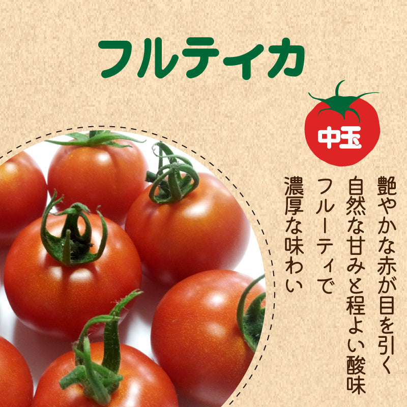 【11月下旬以降出荷】徳島県・阿波市産 トマト3種食べ比べセット 4kg【MKファーム】