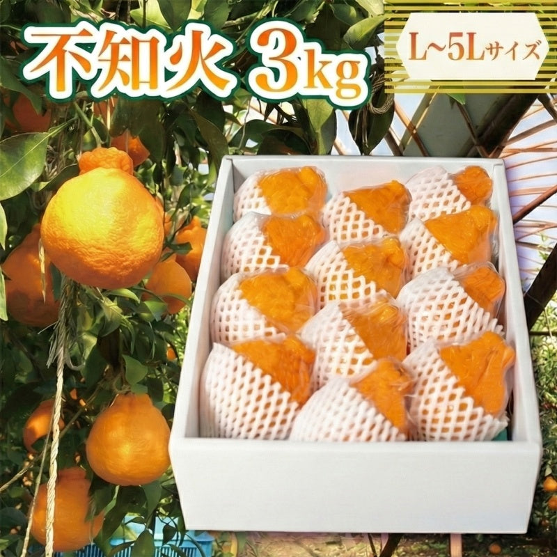 徳島県産】不知火 3kg L～5Lサイズ – 高知かわうそ市場