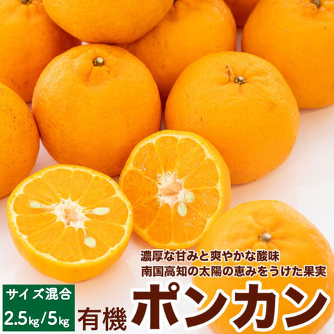 【先行予約商品】サイズ混合 甘くておいしい有機ポンカン 2.5kg/5kg