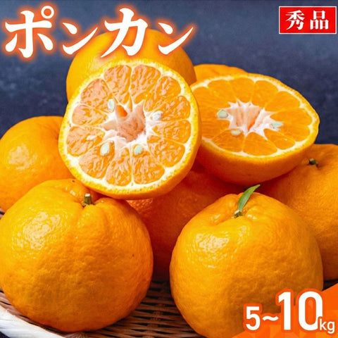 ポンカン(秀品) 約5kg / 約10kg サイズ混合 【2026年1月中旬から順次発送】