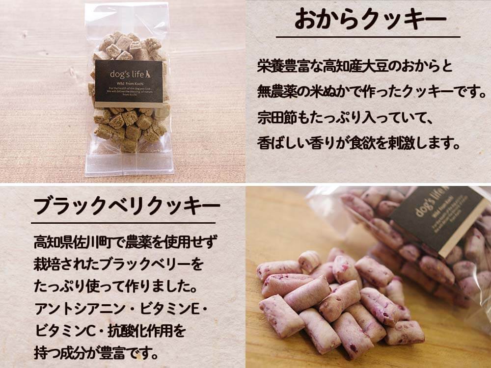 犬用 オリジナルクッキー10点セット