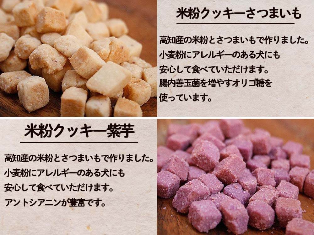 犬用 オリジナルクッキー10点セット