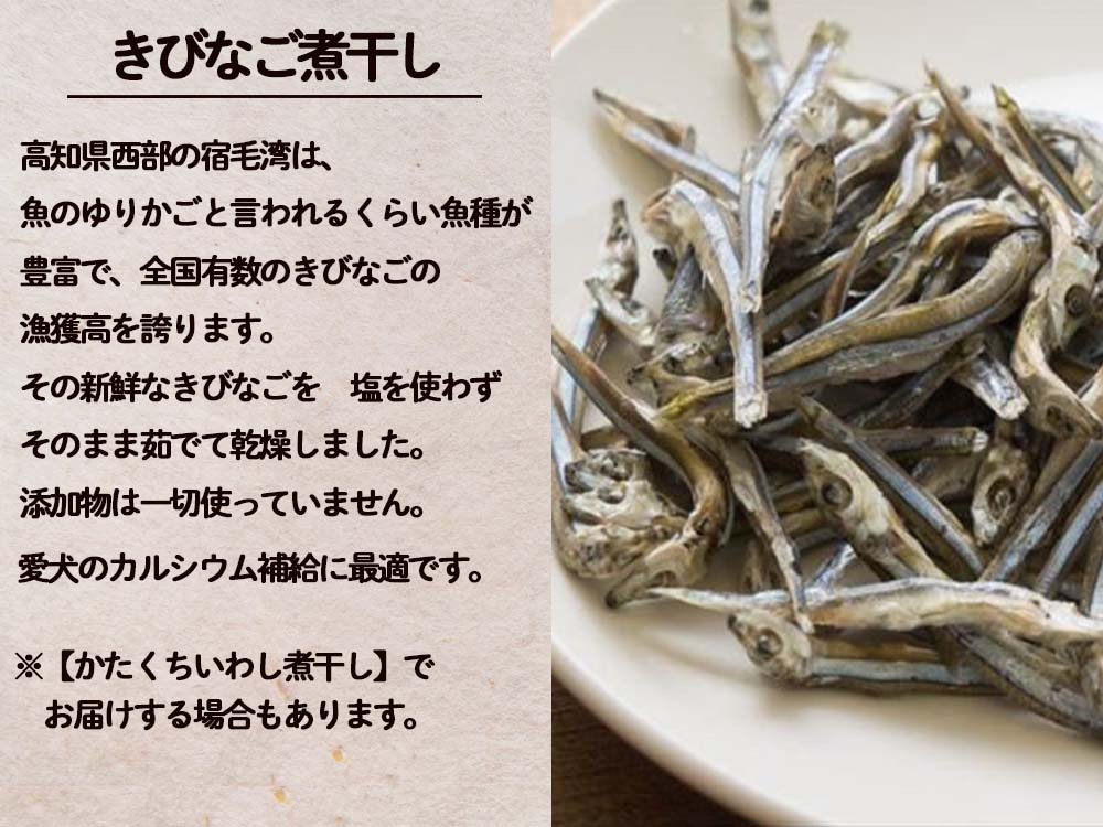 猫用 おすすめセット