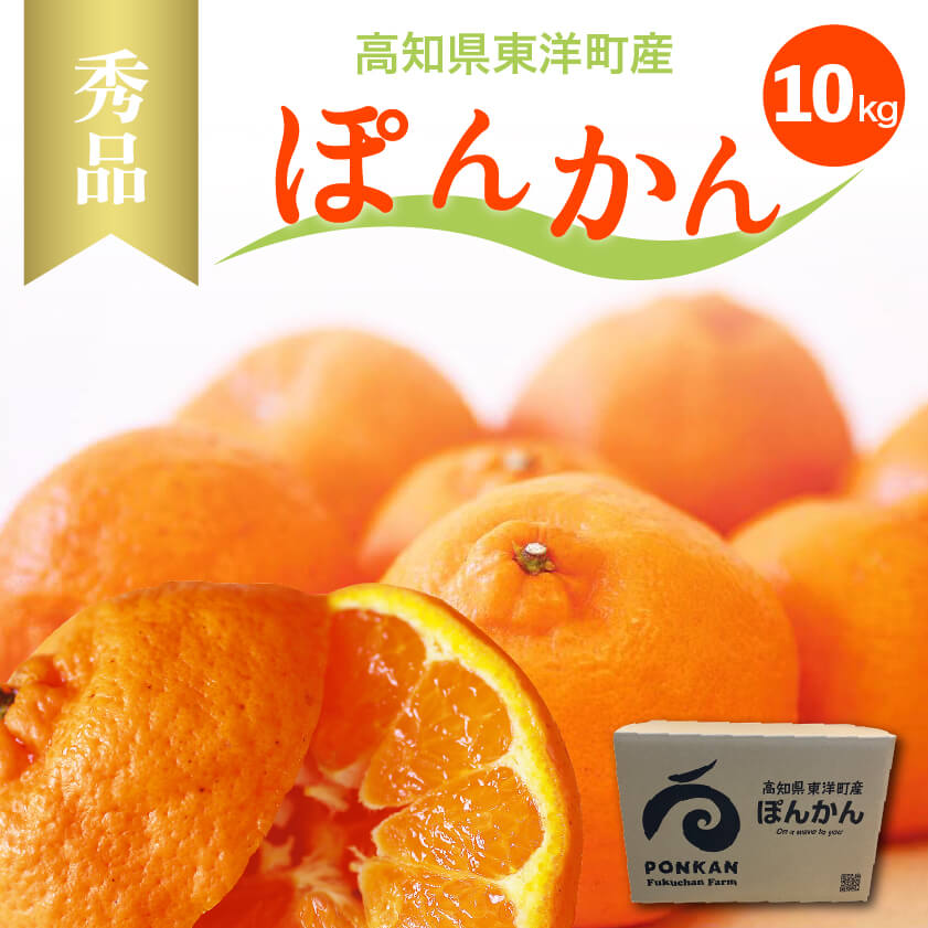 ぽんかん10kg 秀品【高知県東洋町・フクチャンFARM】【今季終了】【柑橘】