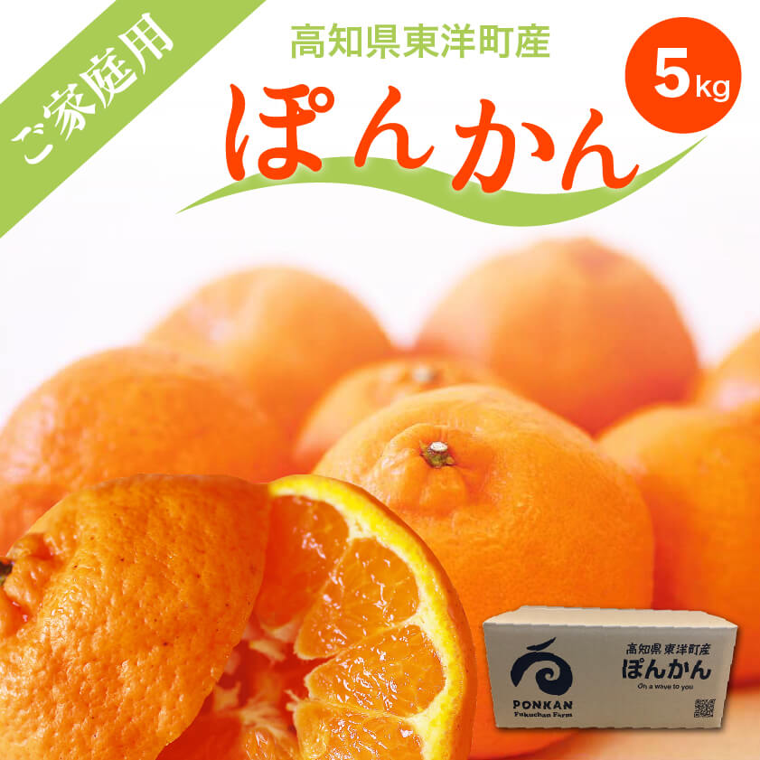 ぽんかん5kgご家庭用(訳あり)【高知県東洋町・フクチャンFARM】【今季終了】【柑橘】