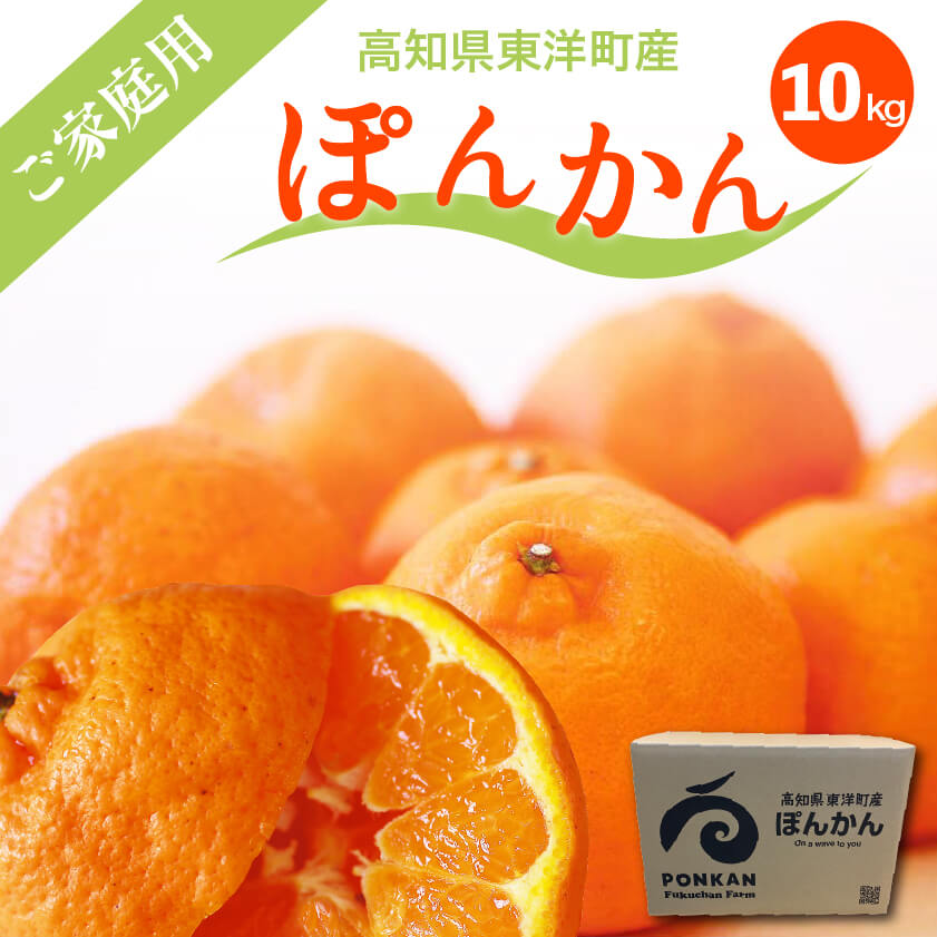 ぽんかん10kgご家庭用(訳あり)【高知県東洋町・フクチャンFARM】【今季終了】【柑橘】