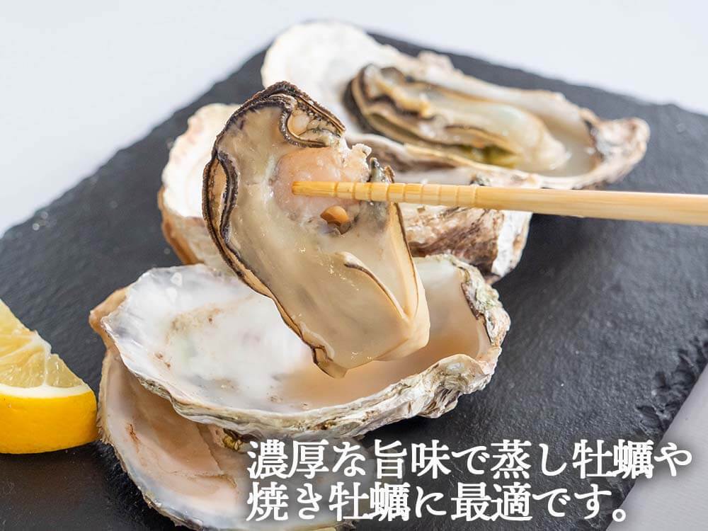 【4/6最終受付】本場広島の殻付き牡蠣 2kg