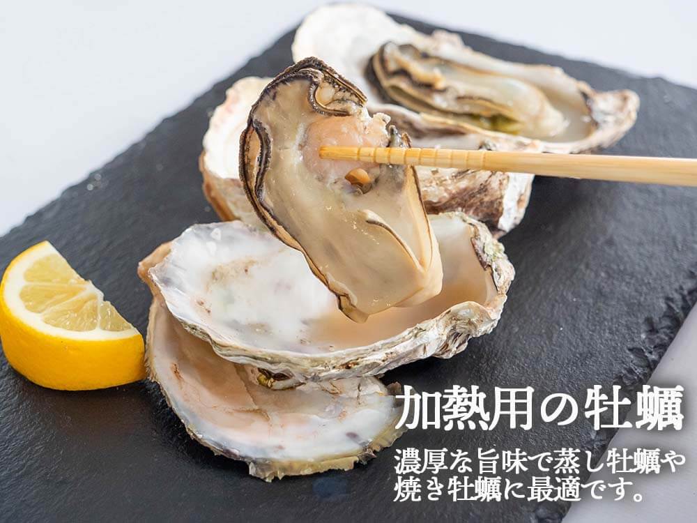 【4/6最終受付】本場広島の殻付き牡蠣 2kg カンカン焼きセット