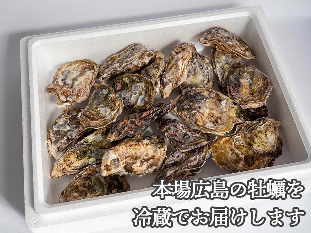 【4/6最終受付】本場広島の殻付き牡蠣 2kg カンカン焼きセット