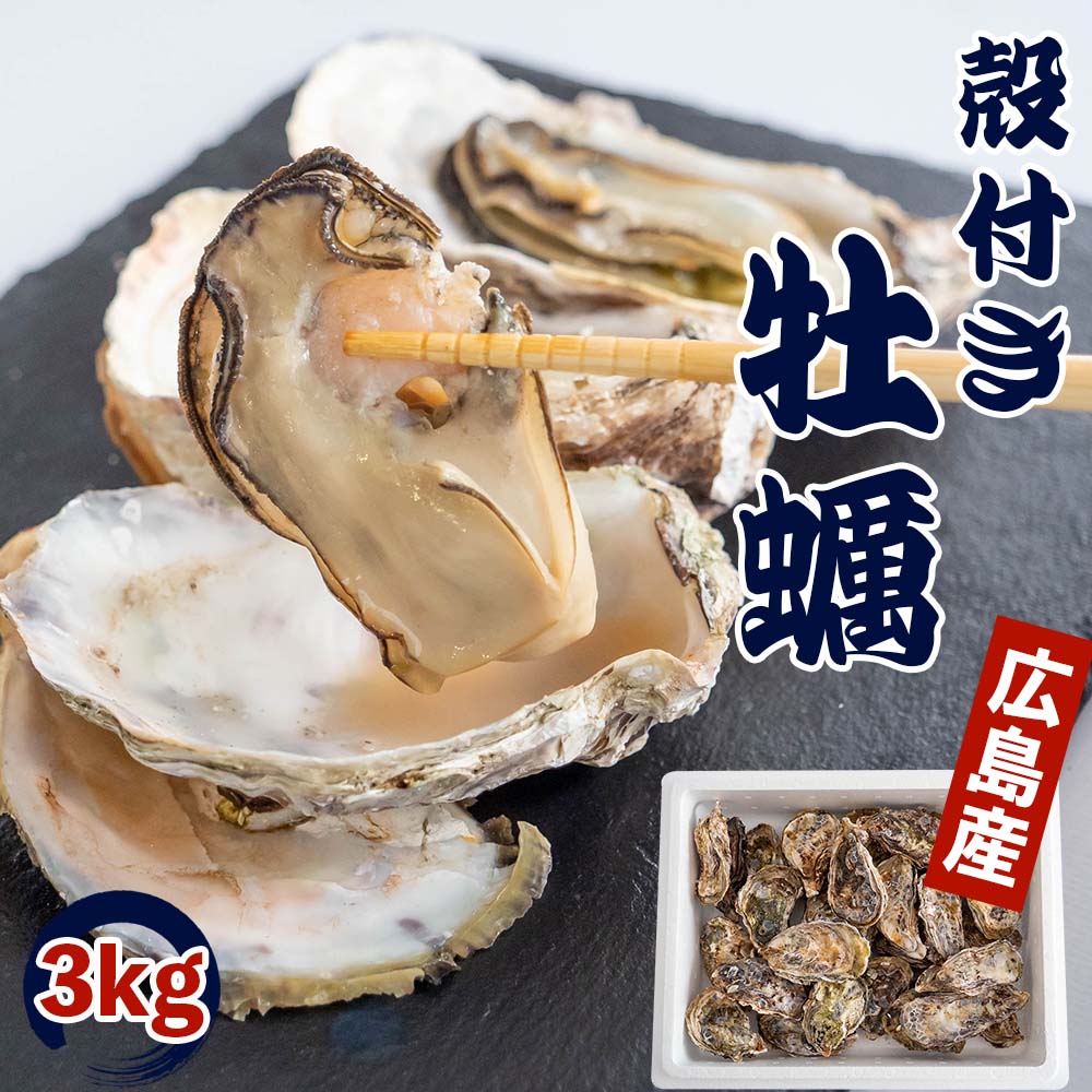 【4/6最終受付】本場広島の殻付き牡蠣 3kg