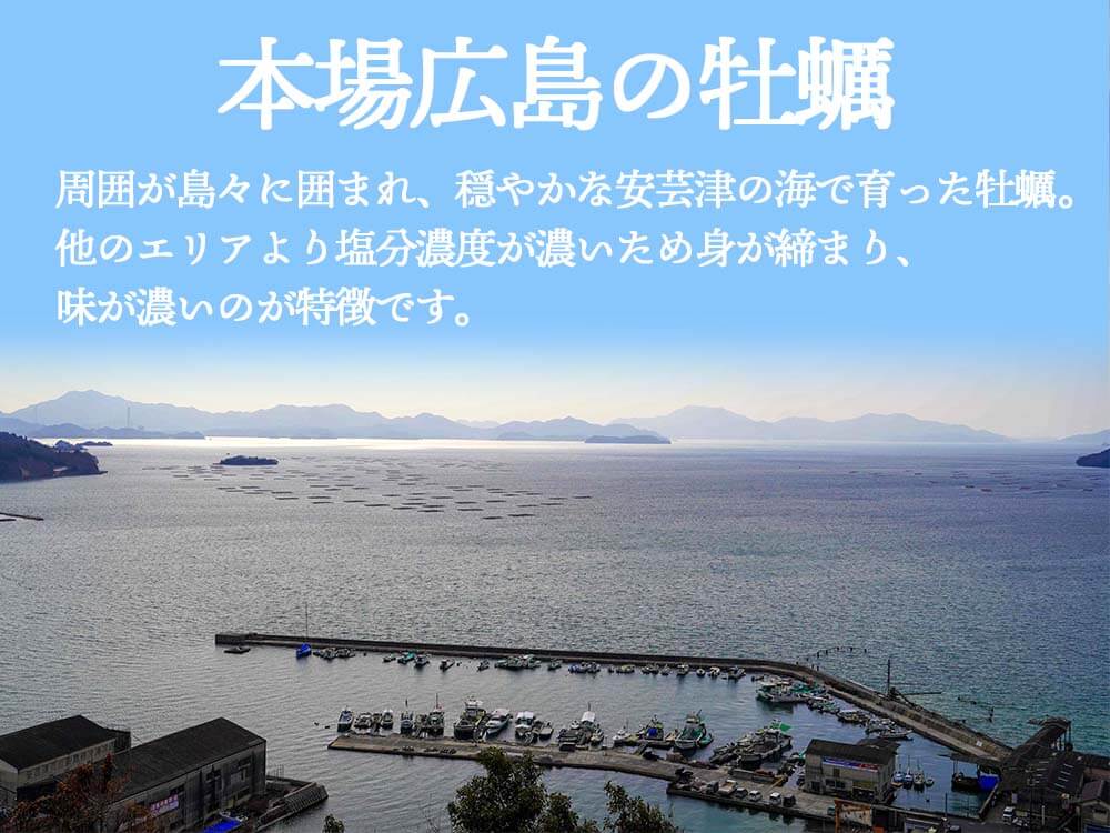 【4/6最終受付】本場広島の殻付き牡蠣 3kg