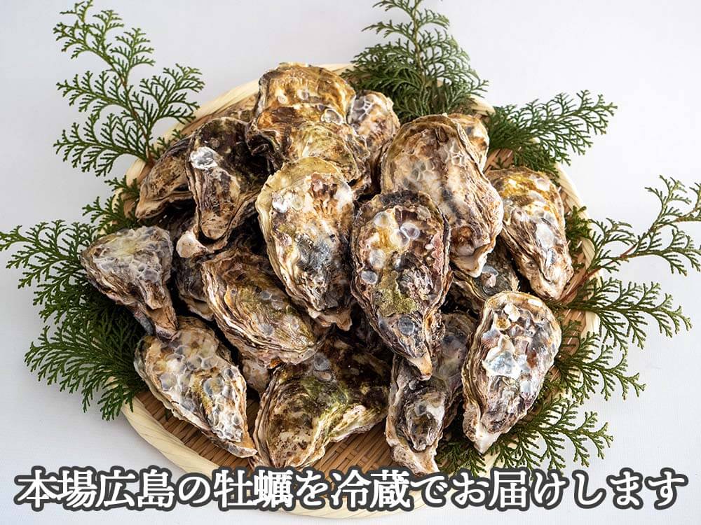 【4/6最終受付】本場広島の殻付き牡蠣 3kg