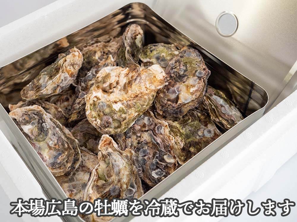 【4/6最終受付】本場広島の殻付き牡蠣 3kg カンカン焼きセット
