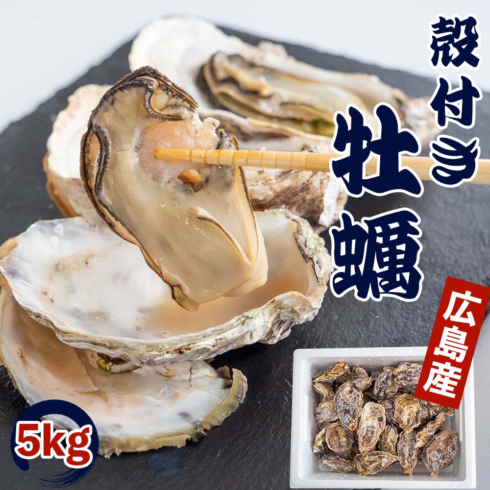 【4/6最終受付】本場広島の殻付き牡蠣 5kg