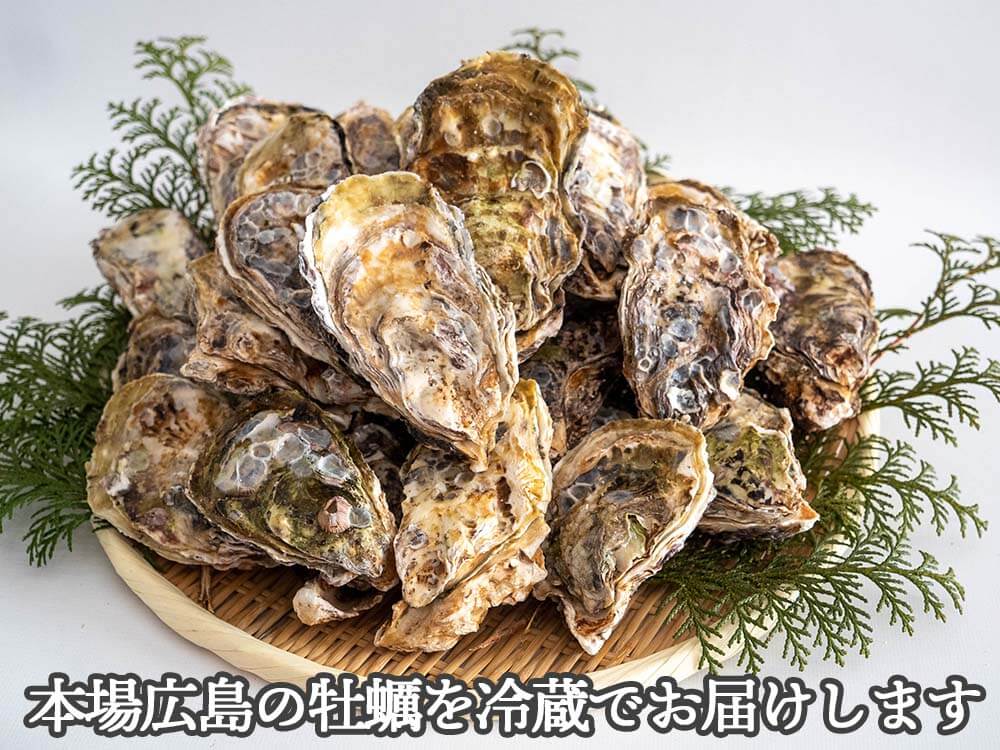 【4/6最終受付】本場広島の殻付き牡蠣 5kg