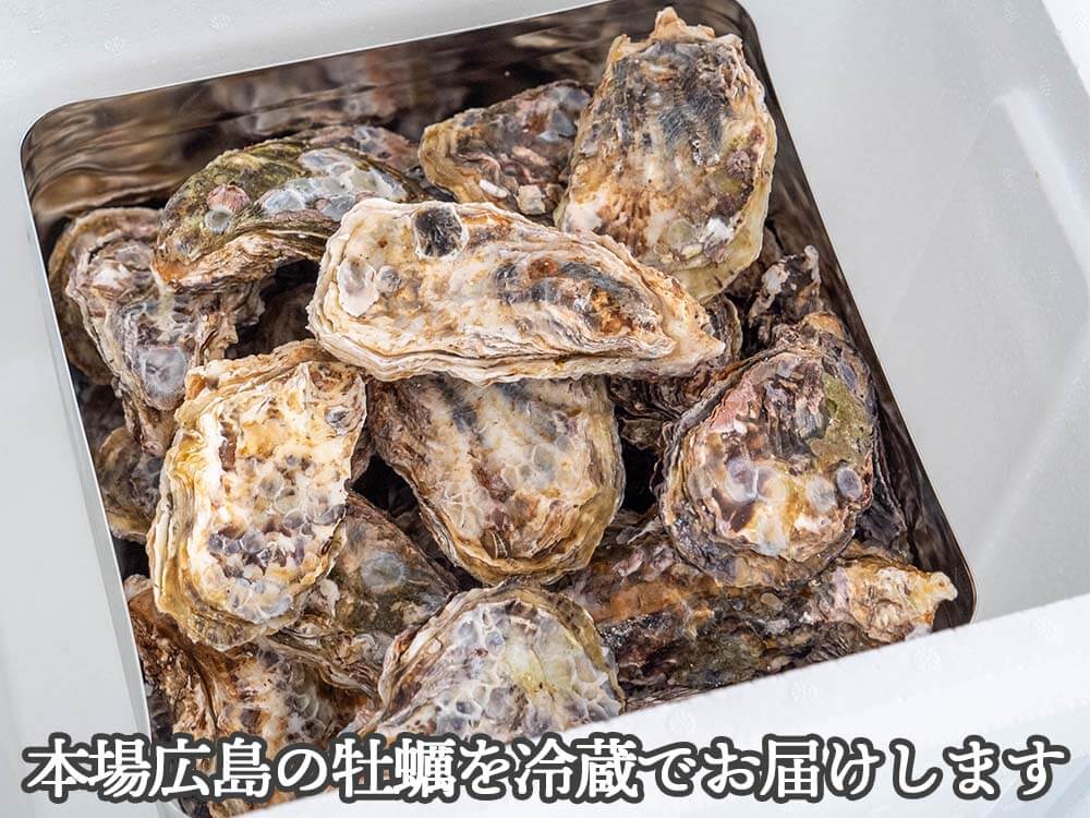【4/6最終受付】本場広島の殻付き牡蠣5kg カンカン焼きセット