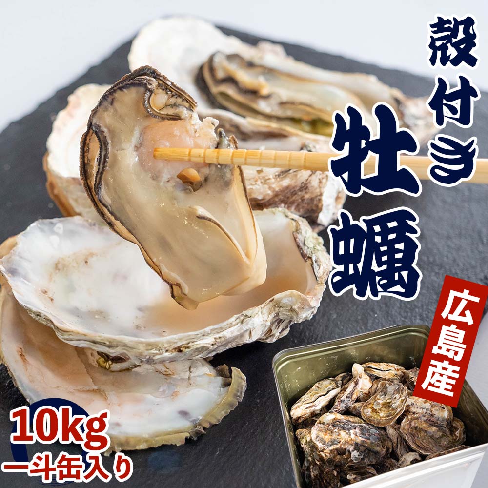 殻付き牡蠣10kg 殻付き牡蠣 10kg | 宮城県産特価 - Ushop