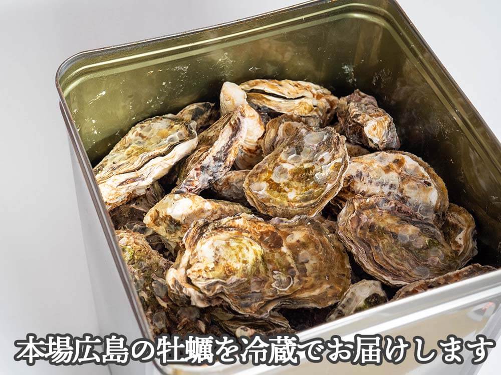 【4/6最終受付】本場広島の殻付き牡蠣 10kg 一斗缶入り