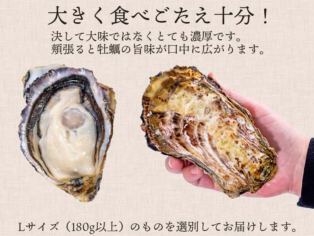 本場広島のプレミアム牡蠣「かき小町」Lサイズ