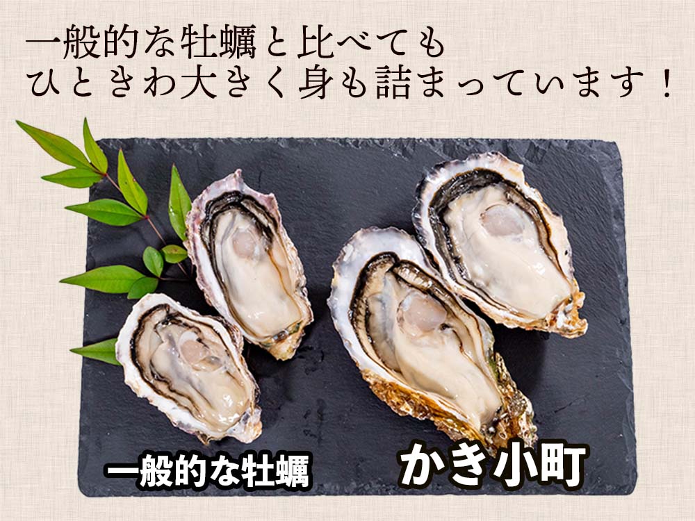 本場広島のプレミアム牡蠣「かき小町」Lサイズ