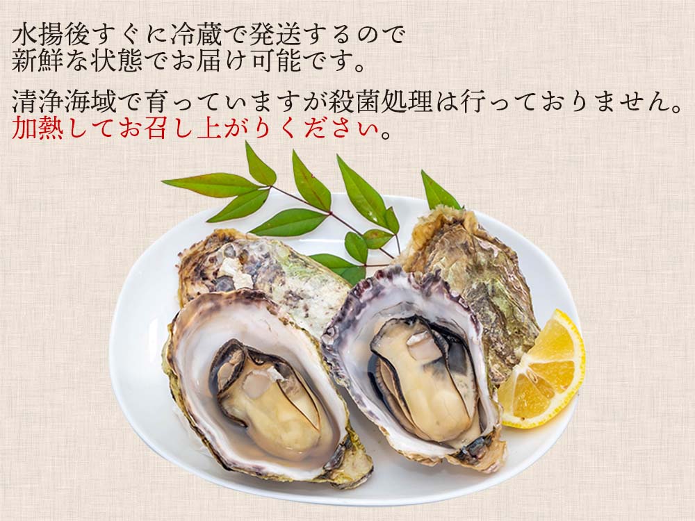 本場広島のプレミアム牡蠣「かき小町」Lサイズ
