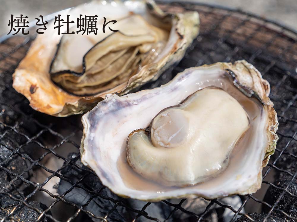 本場広島のプレミアム牡蠣「かき小町」Lサイズ