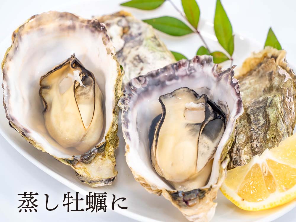 本場広島のプレミアム牡蠣「かき小町」Lサイズ