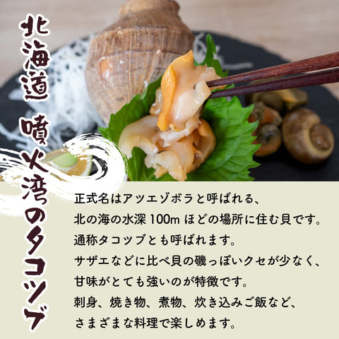 北海道・噴火湾産つぶ貝(タコツブ)生・殻付き1kg Lサイズ/2Lサイズ/3Lサイズ