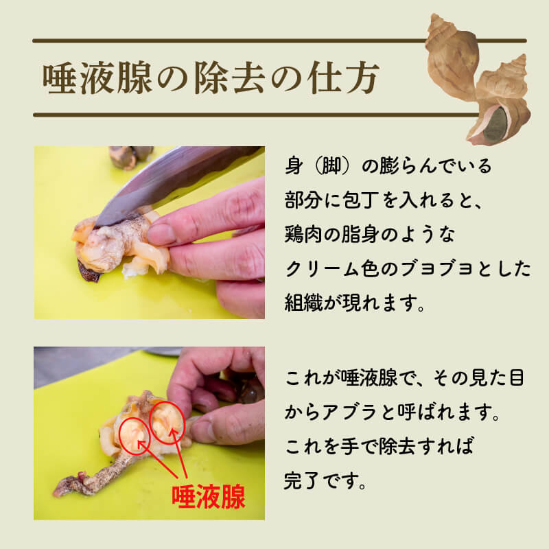 北海道・噴火湾産つぶ貝(タコツブ)生・殻付き1kg Lサイズ/2Lサイズ/3Lサイズ