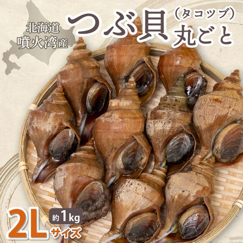 北海道・噴火湾産つぶ貝(タコツブ)生・殻付き1kg Lサイズ/2Lサイズ/3Lサイズ