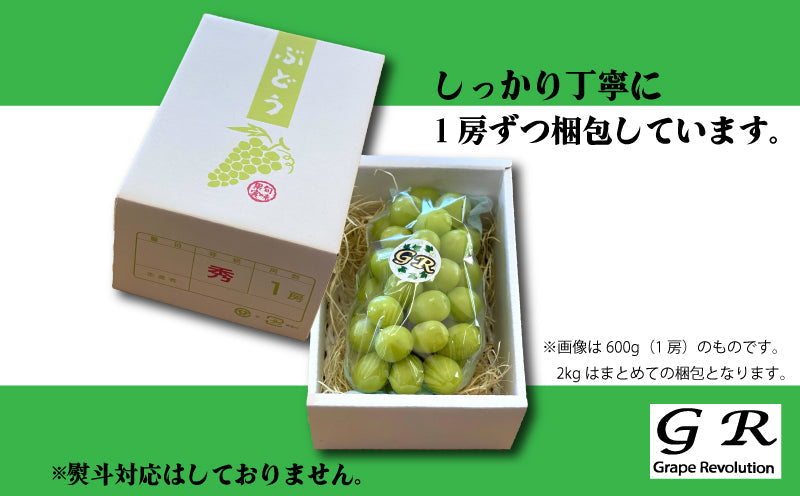 【9月1日以降順次出荷】香川県さぬき市産 シャインマスカット 1房あたり 約600g【GR農園】