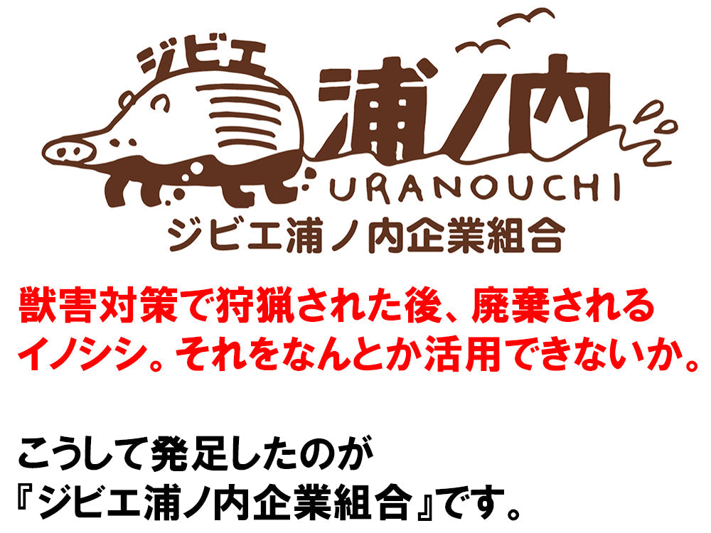 【さっぱり猪肉お徳用 脂少なめ赤身】切落し200g×6パック 計1.2kg