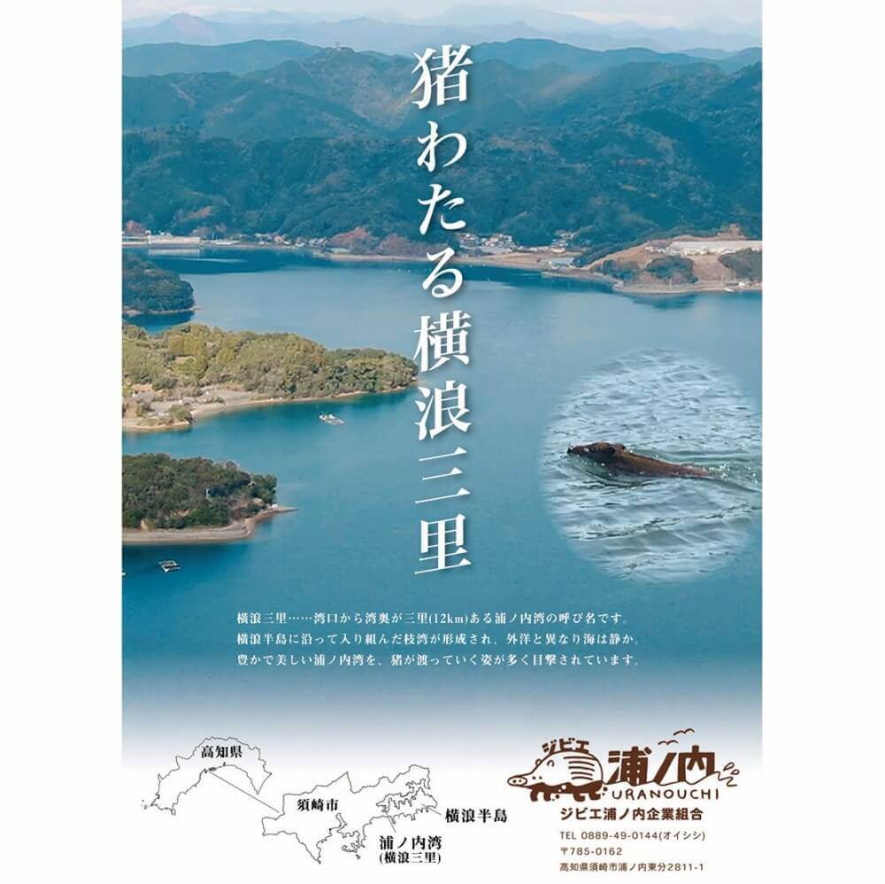 【さっぱり猪肉お徳用 脂少なめ赤身】切落し200g×6パック 計1.2kg