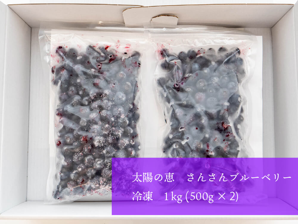 太陽の恵 さんさんブルーベリー 冷凍ブルーベリー1kg