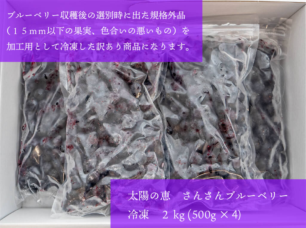 太陽の恵 さんさんブルーベリー (訳あり)冷凍 ブルーベリー2kg