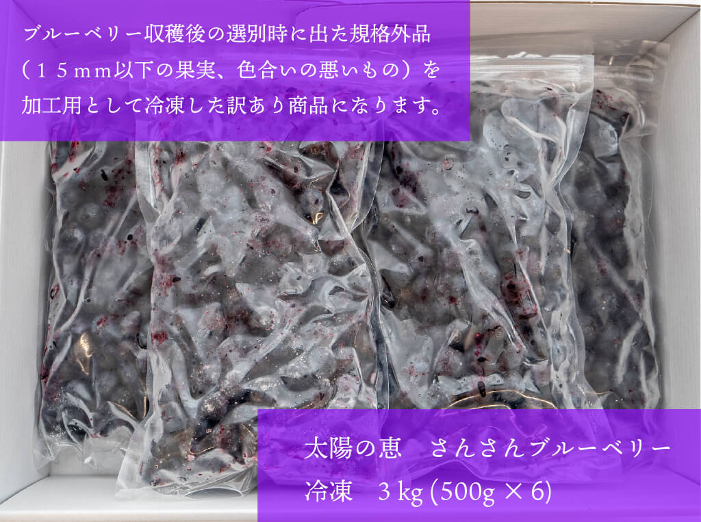 太陽の恵 さんさんブルーベリー (訳あり)冷凍 ブルーベリー3kg