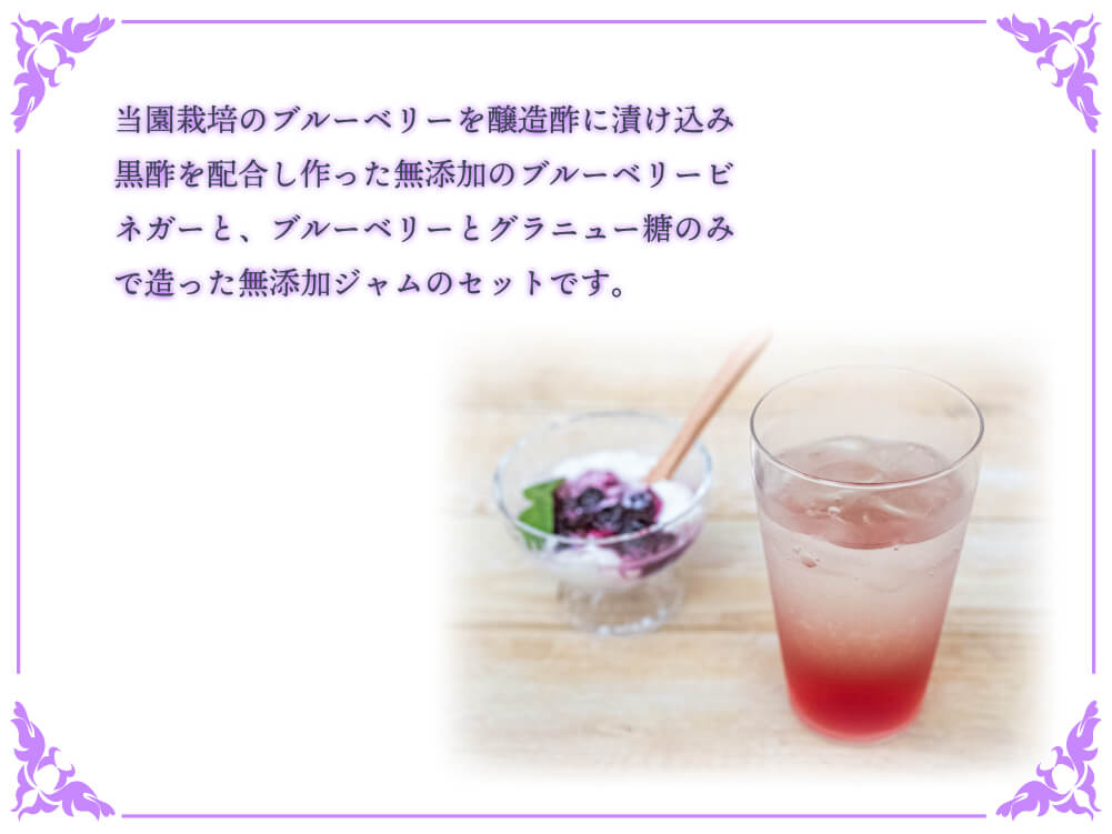 太陽の恵 さんさんブルーベリー ジャムとヴィネガー黒酢入りのセット