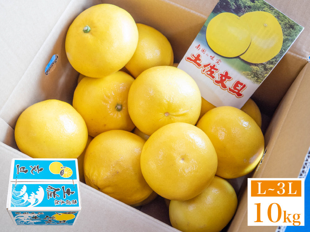 須崎市産・土佐文旦 優品10kg【高知県須崎市・北川果樹園】【柑橘】
