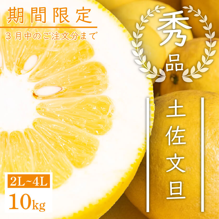 須崎市産・土佐文旦 秀品10kg【高知県須崎市・北川果樹園】【柑橘】