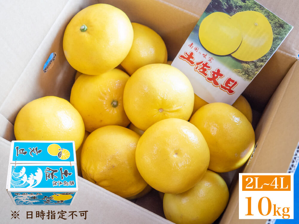 須崎市産・土佐文旦 秀品10kg【高知県須崎市・北川果樹園】【柑橘】