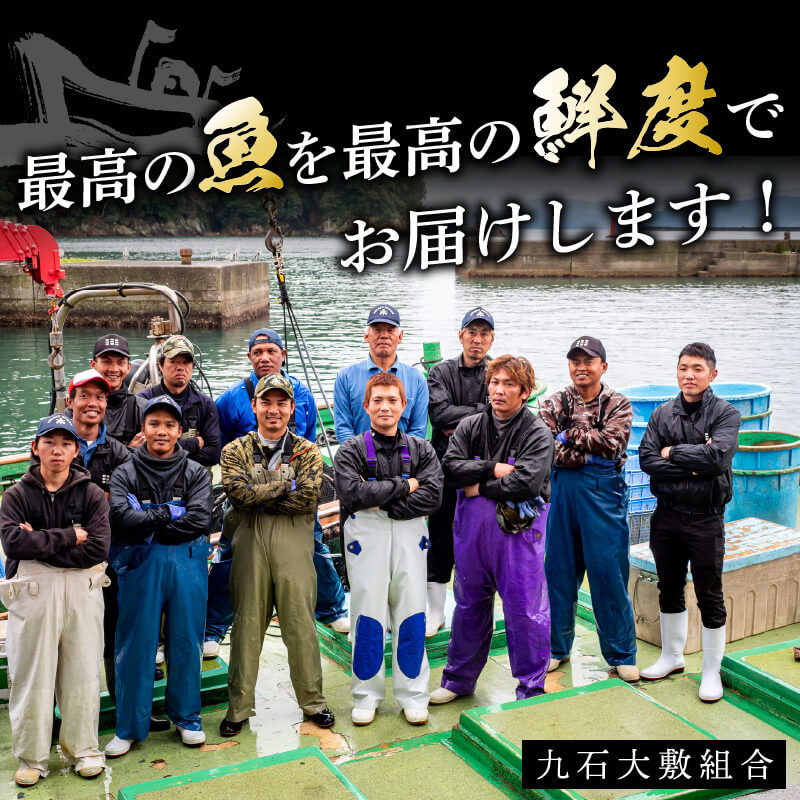 【高知県・須崎産】朝獲れ!船上神経締め鮮魚ボックス 魚種 3〜5種【九石大敷組合】【日付指定不可】