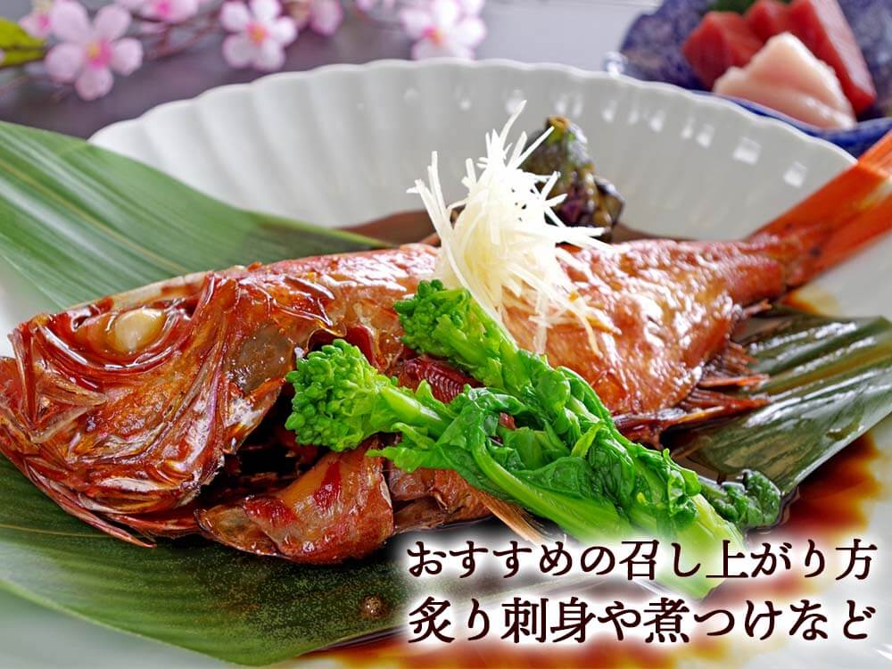 土佐沖どれ金目鯛【お届け不可地域あり】【お届け日時指定不可】【鮮魚】