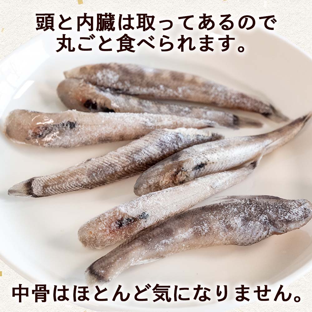 高知県産メヒカリ1kg