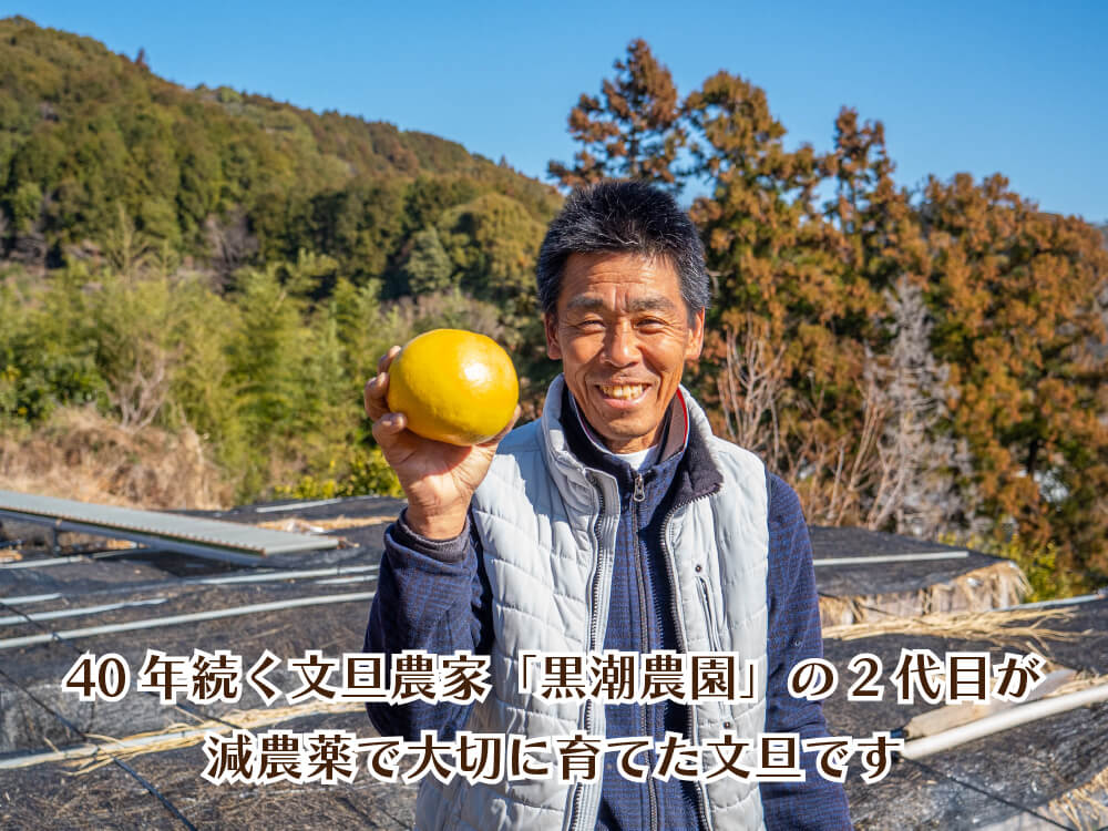 【予約・2月より順次出荷】土佐文旦10kg 訳あり【高知県須崎市・黒潮農園】【柑橘】