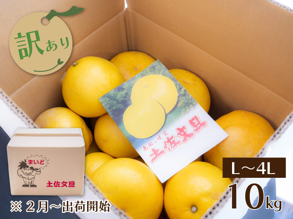 【予約・2月より順次出荷】土佐文旦10kg 訳あり【高知県須崎市・黒潮農園】【柑橘】