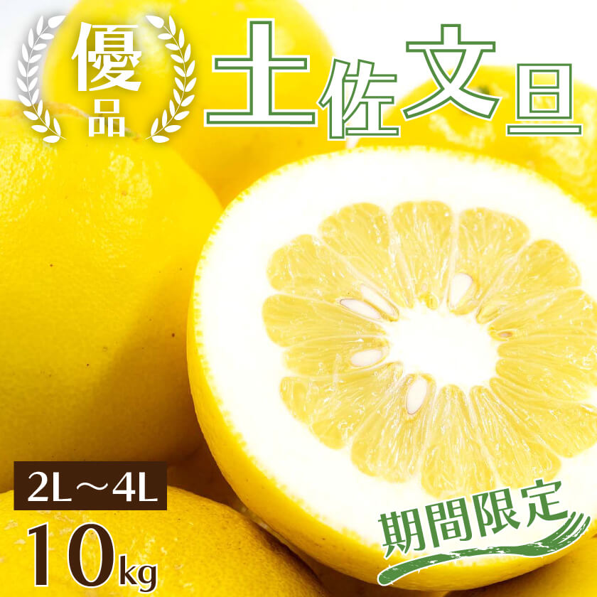 【予約・2月より順次出荷】土佐文旦10kg 優品【高知県須崎市・黒潮農園】【柑橘】