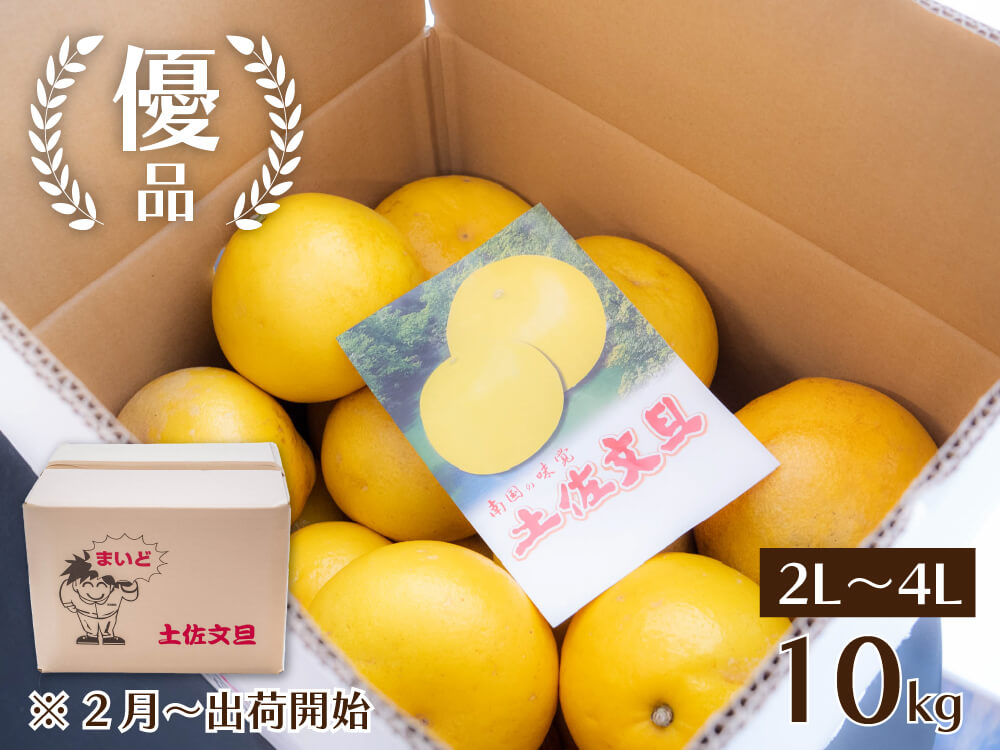 【予約・2月より順次出荷】土佐文旦10kg 優品【高知県須崎市・黒潮農園】【柑橘】