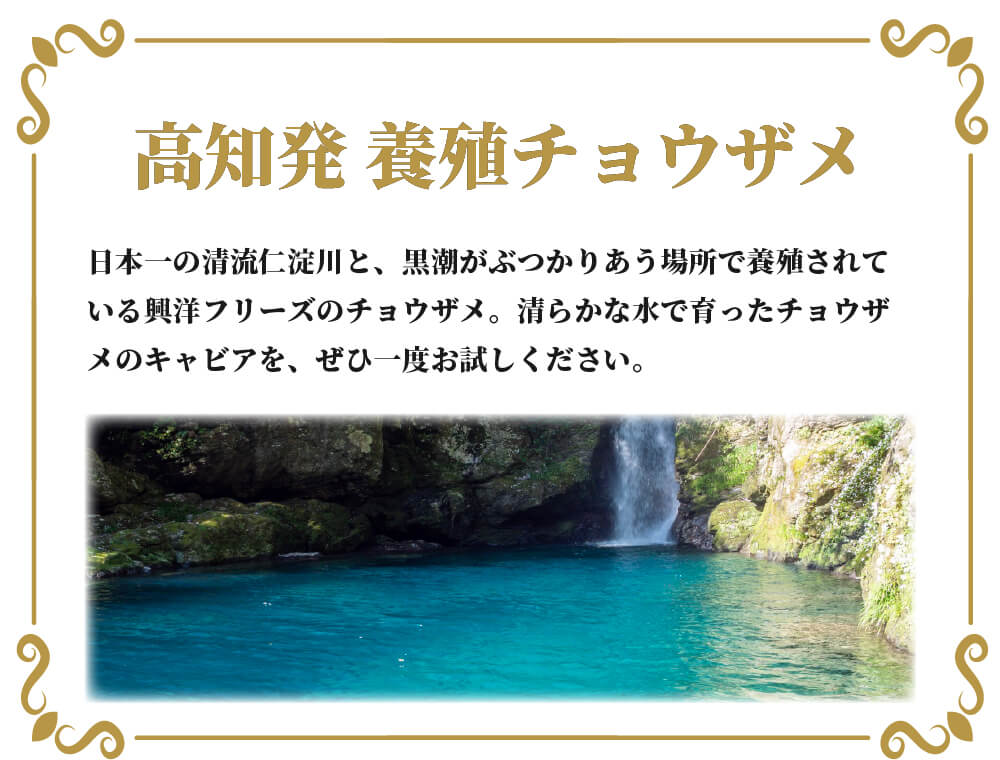 高知産キャビア